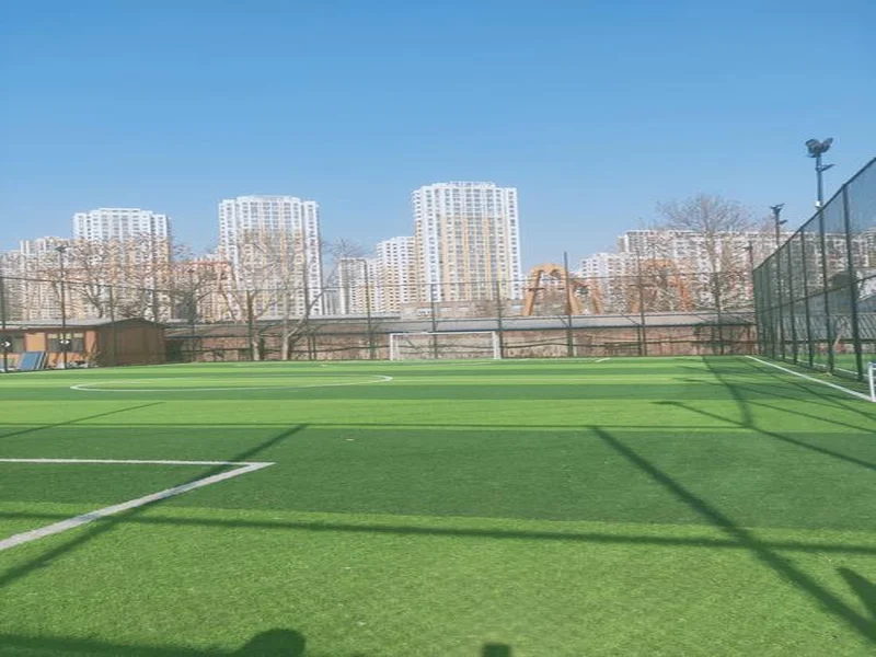 这不是圣詹姆斯公园吗?巴萨球迷去看欧冠打纽卡,误入埃克塞特同名主场