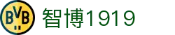 zbo智博1919com·(中国有限公司)官方网站